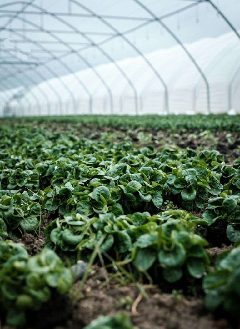 Effective Strategies for Pest Management Success