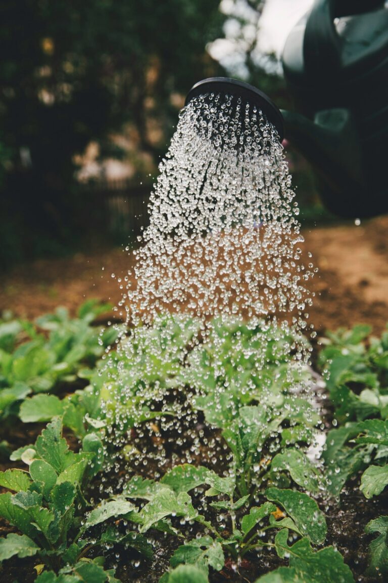 The Benefits of Adopting Regenerative Practices