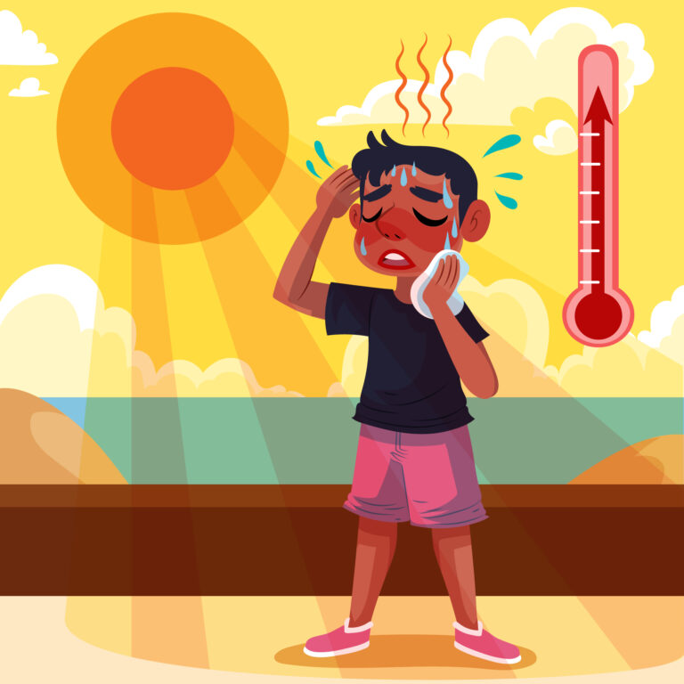 What to Do During Severe Summer and Heat Stroke — Especially for Rooftop Plants