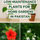 Top 10 plants