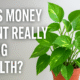 Money Plant